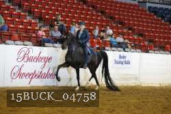 15BUCK_04758 proof
