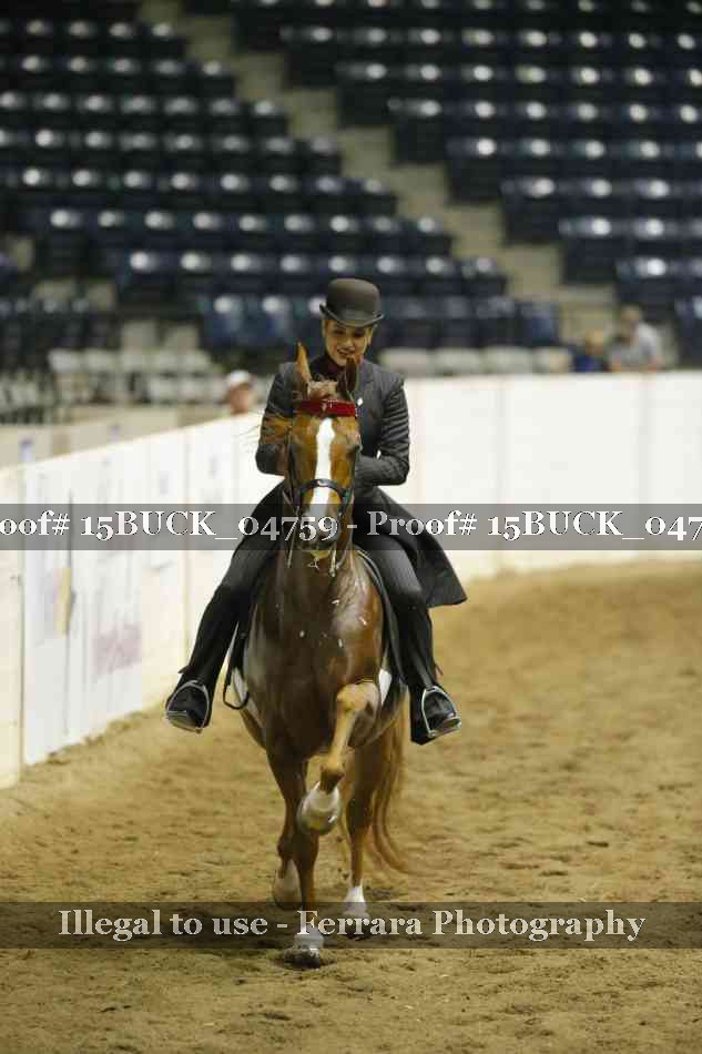 Proof 15BUCK_04759