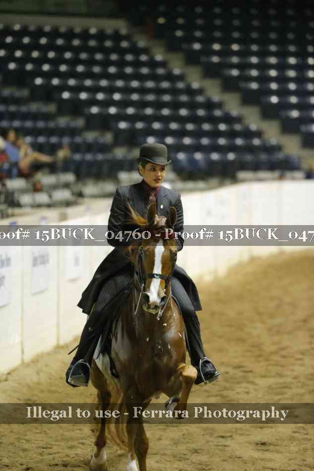 Proof 15BUCK_04760