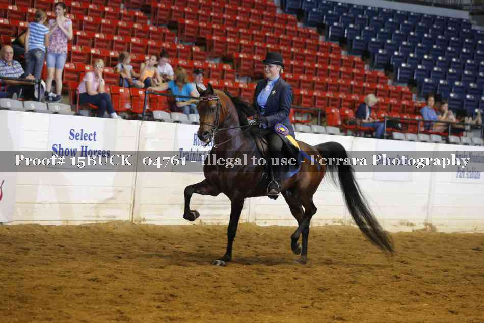 Proof 15BUCK_04761