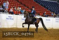 15BUCK_04761 proof