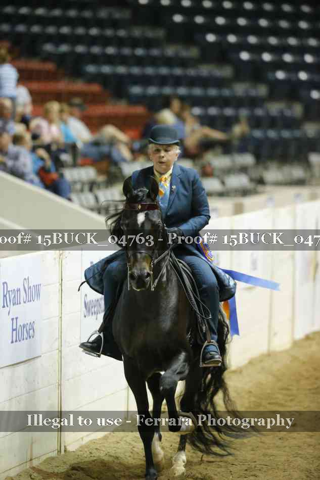 Proof 15BUCK_04763