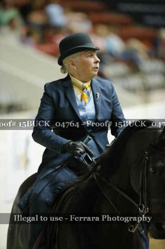 Proof 15BUCK_04764