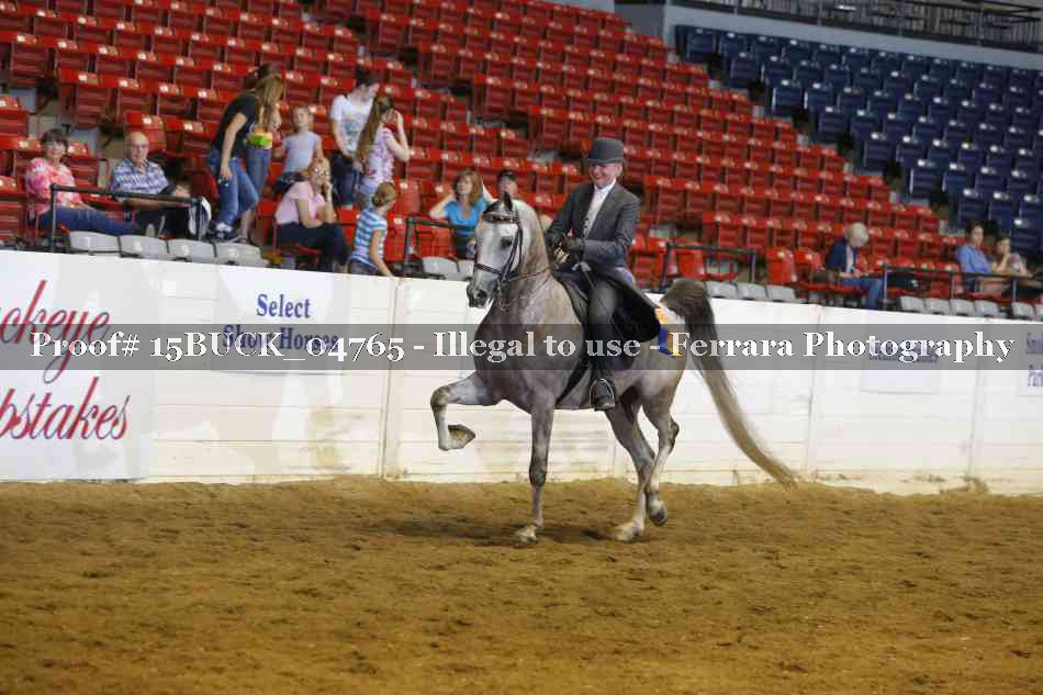 Proof 15BUCK_04765