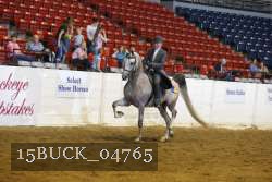 15BUCK_04765 proof