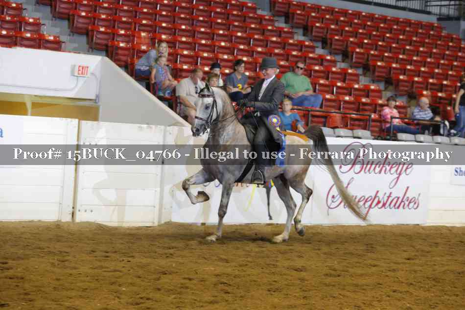Proof 15BUCK_04766
