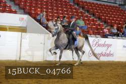 15BUCK_04766 proof