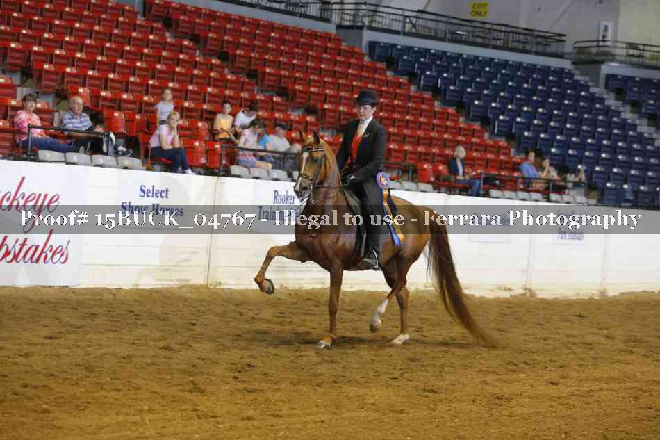 Proof 15BUCK_04767
