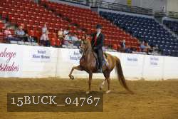 15BUCK_04767 proof