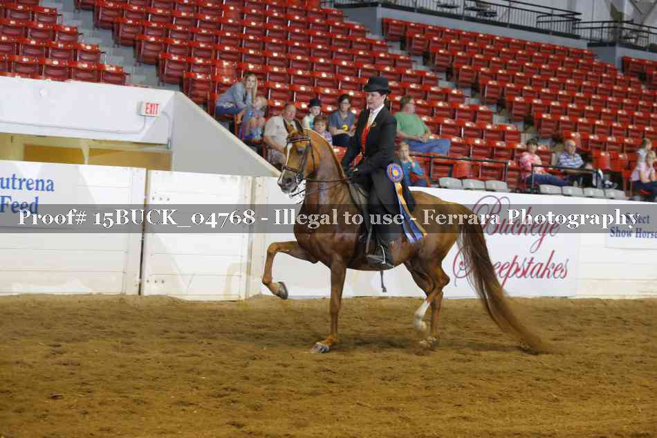Proof 15BUCK_04768