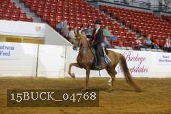 15BUCK_04768 proof