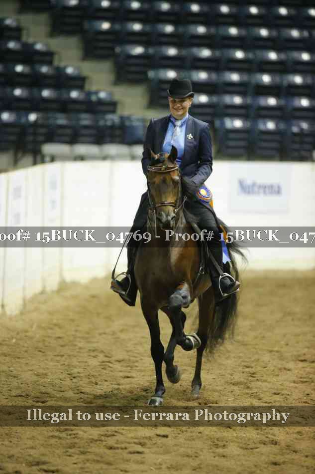Proof 15BUCK_04769