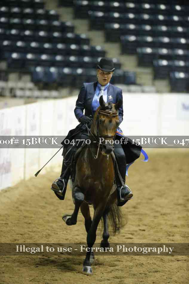 Proof 15BUCK_04770