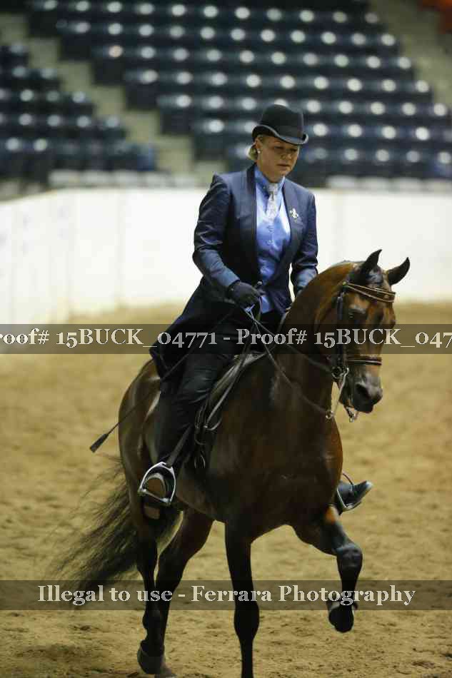 Proof 15BUCK_04771