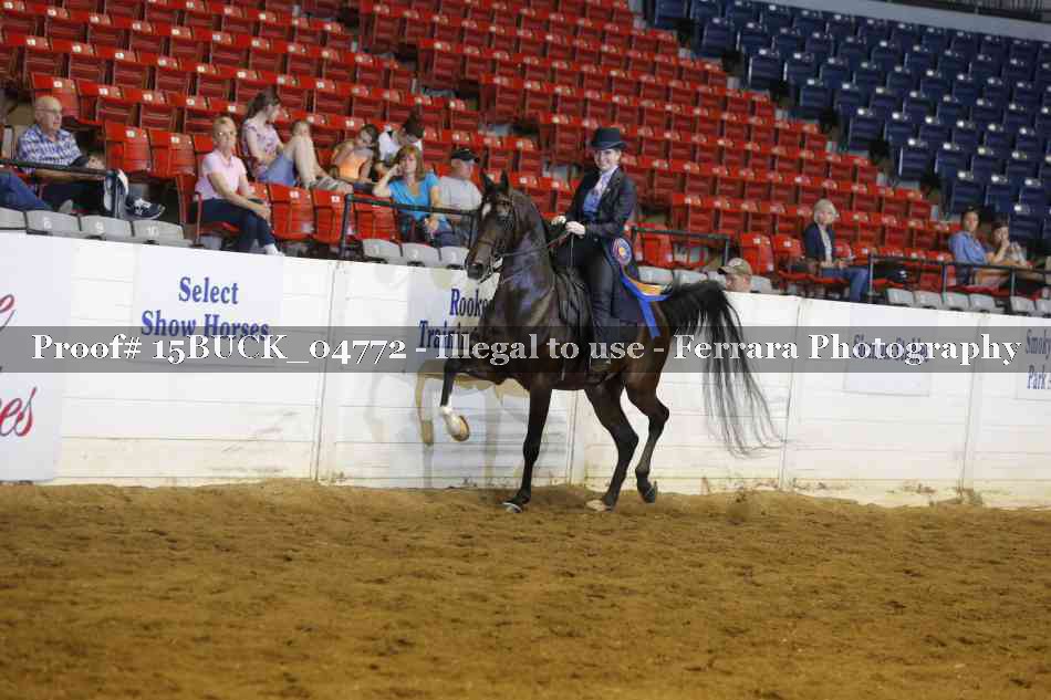 Proof 15BUCK_04772