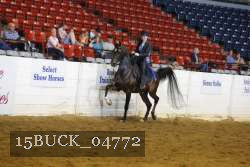 15BUCK_04772 proof