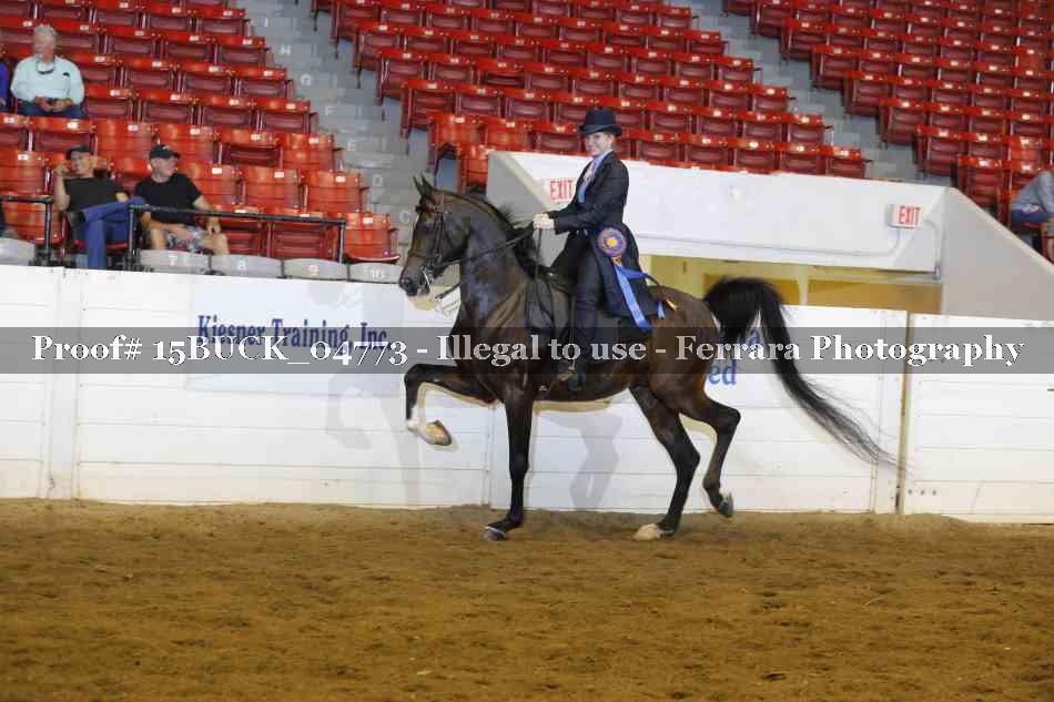 Proof 15BUCK_04773