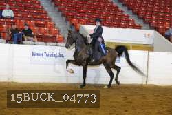 15BUCK_04773 proof
