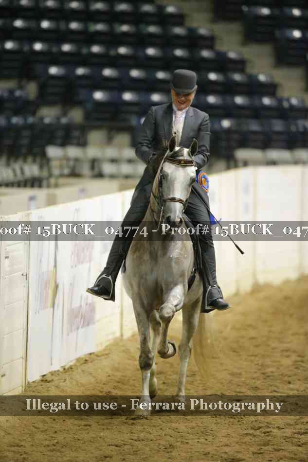 Proof 15BUCK_04774