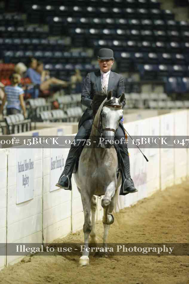 Proof 15BUCK_04775