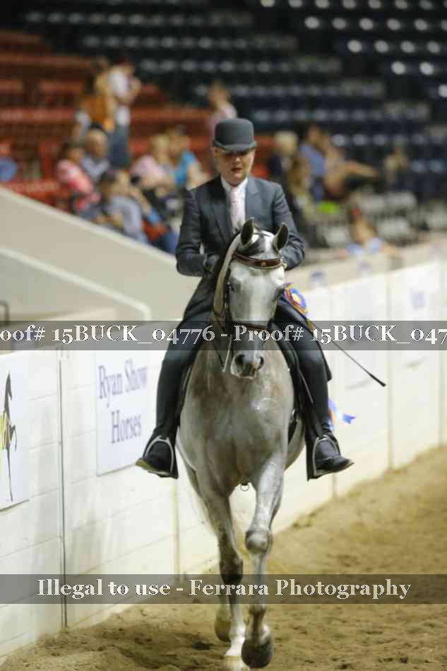 Proof 15BUCK_04776