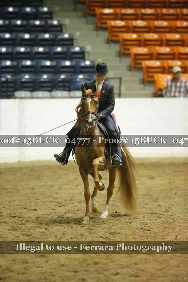 Proof 15BUCK_04777