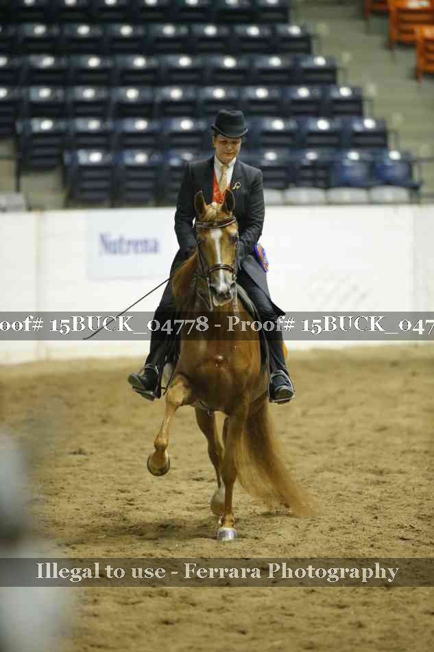 Proof 15BUCK_04778