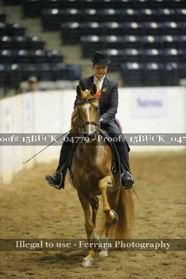 Proof 15BUCK_04779