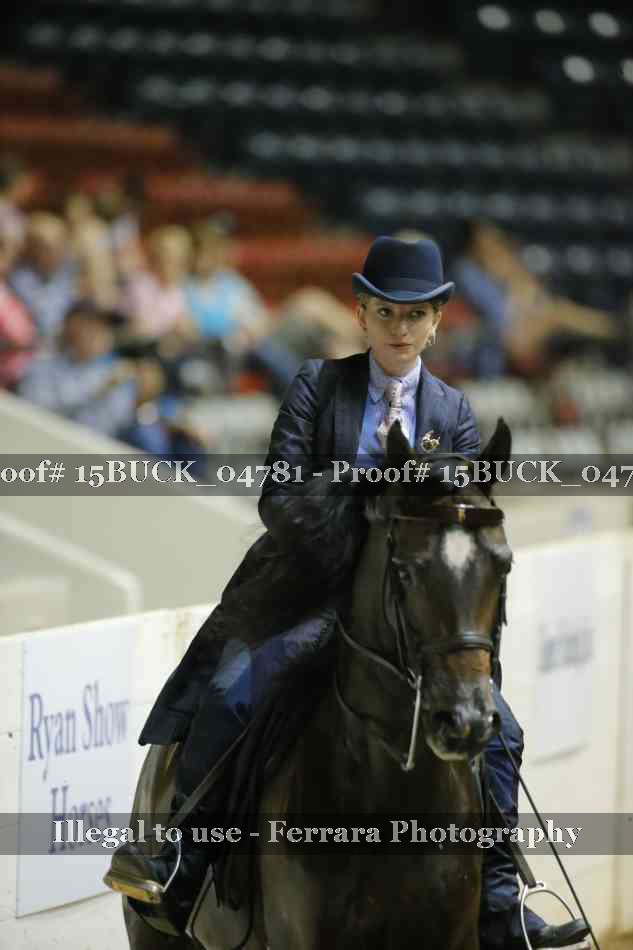 Proof 15BUCK_04781