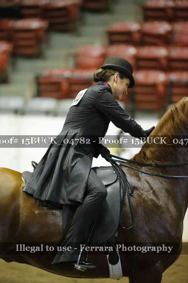Proof 15BUCK_04782