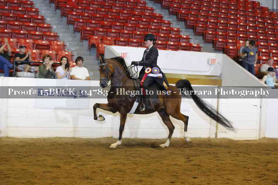 Proof 15BUCK_04783