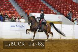 15BUCK_04783 proof