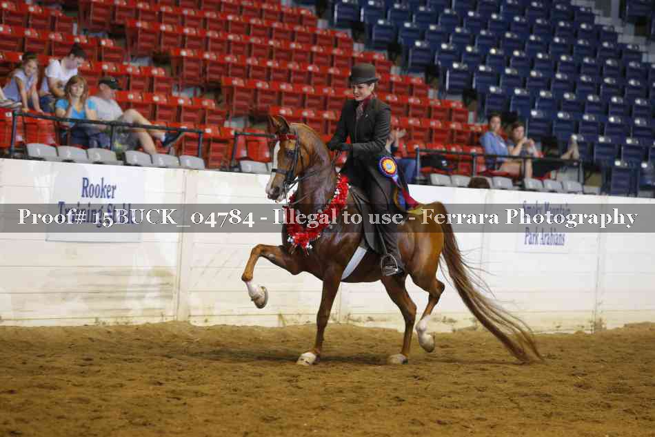 Proof 15BUCK_04784