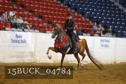 15BUCK_04784 proof