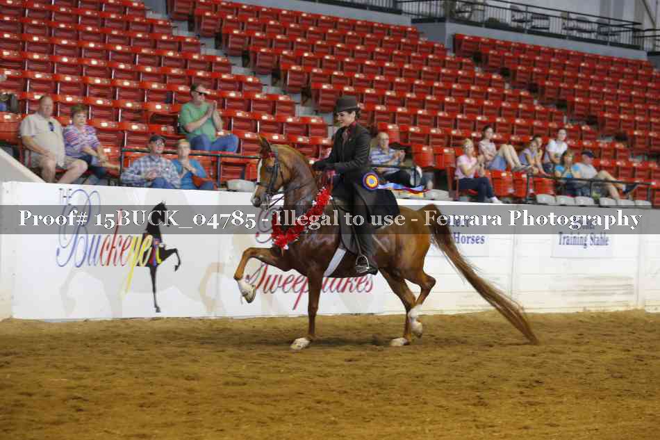 Proof 15BUCK_04785