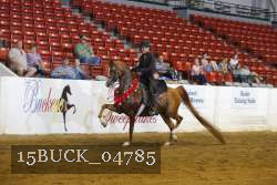 15BUCK_04785 proof