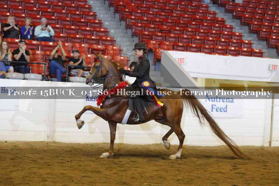 Proof 15BUCK_04786