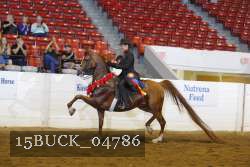 15BUCK_04786 proof