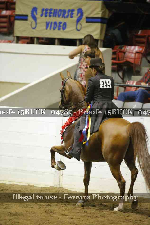 Proof 15BUCK_04787