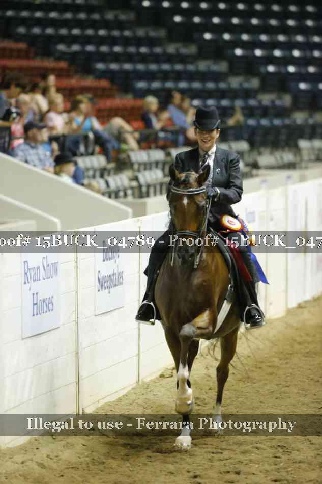 Proof 15BUCK_04789