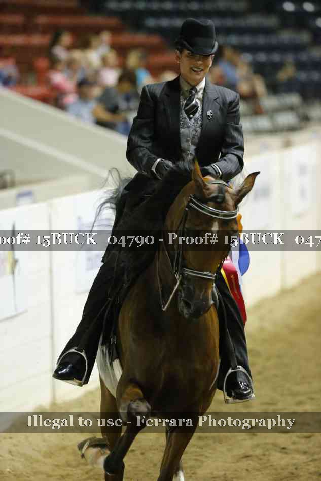 Proof 15BUCK_04790