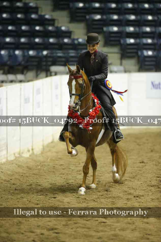 Proof 15BUCK_04792