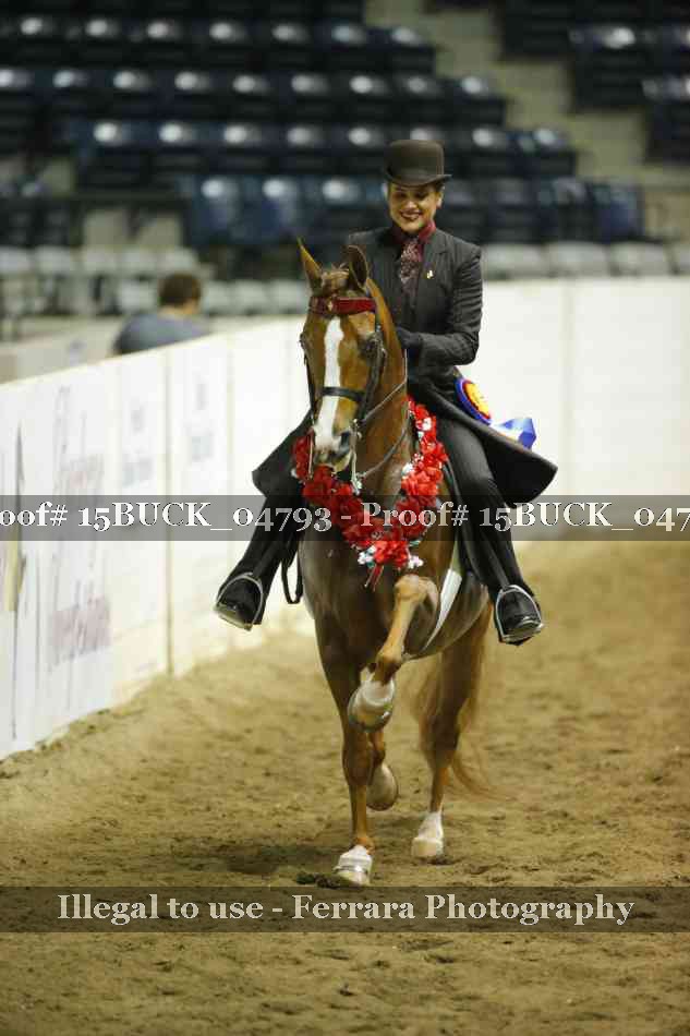 Proof 15BUCK_04793
