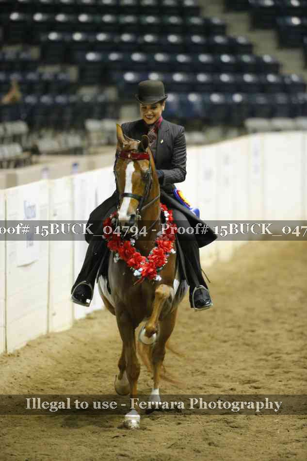 Proof 15BUCK_04794
