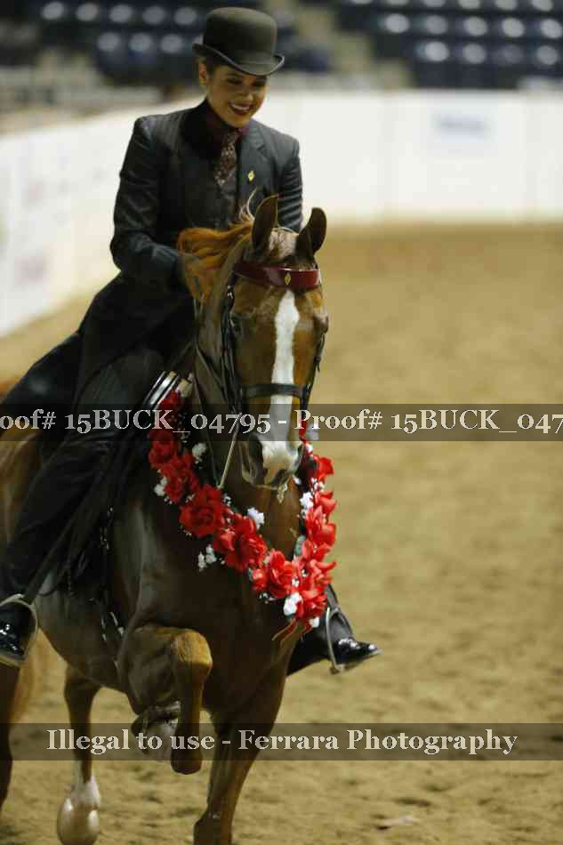 Proof 15BUCK_04795