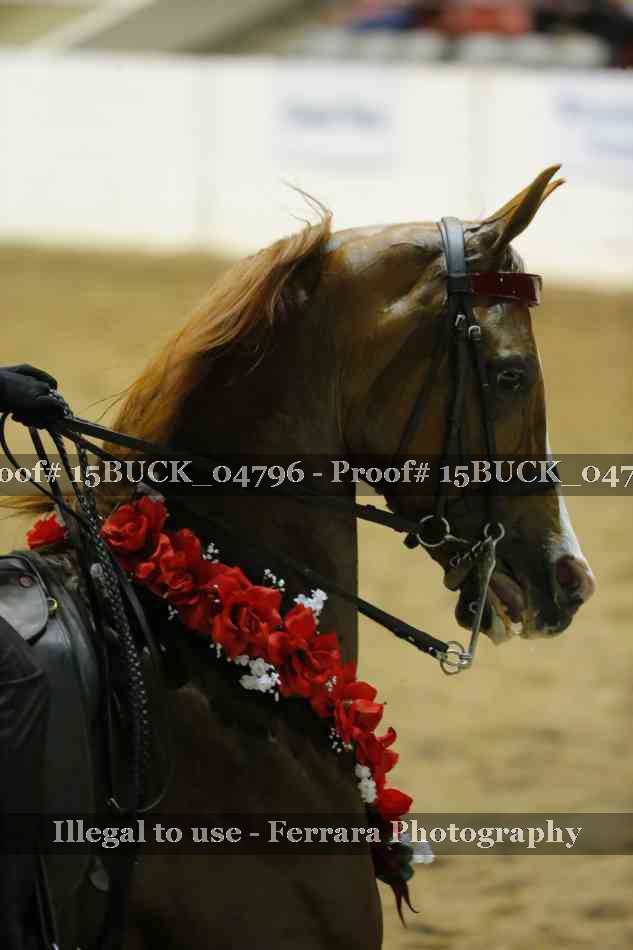 Proof 15BUCK_04796