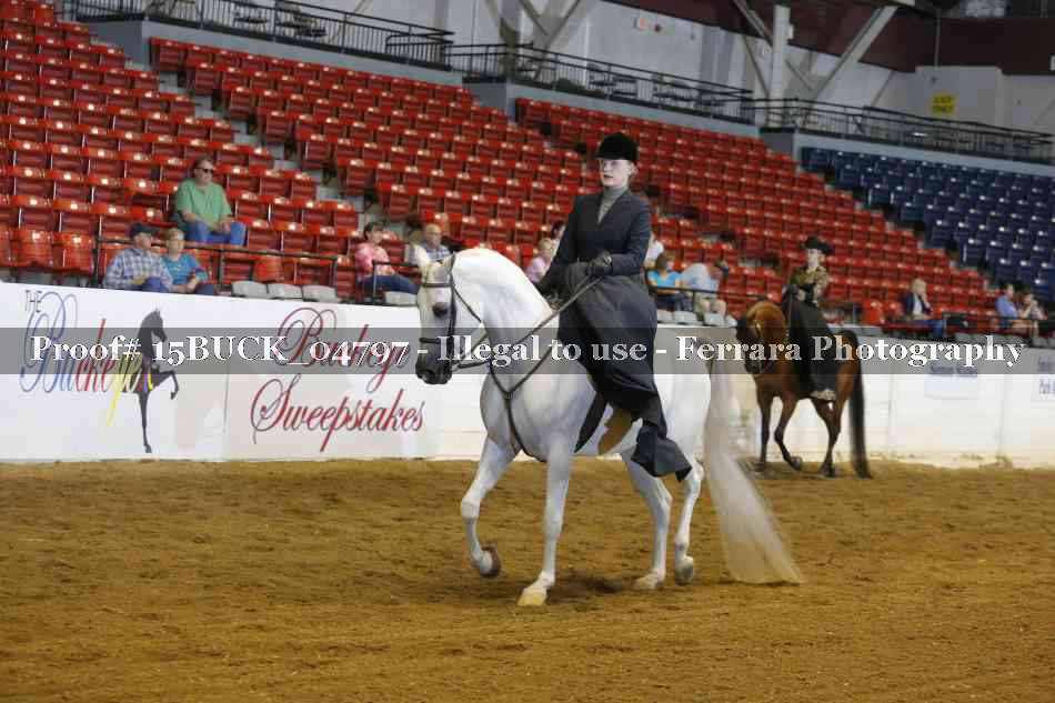 Proof 15BUCK_04797