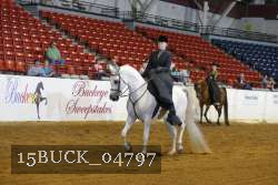 15BUCK_04797 proof