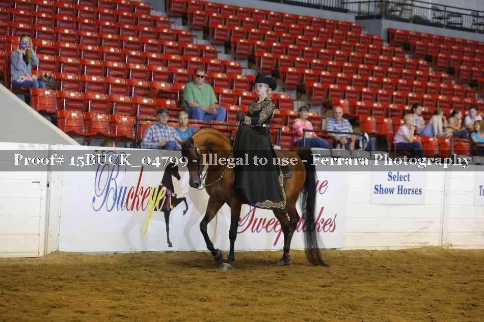 Proof 15BUCK_04799