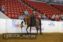 15BUCK_04799 proof